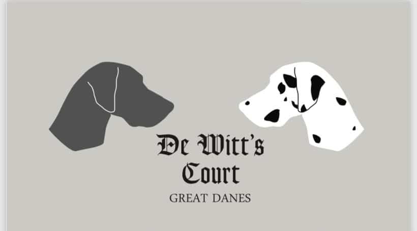 Dewitt Court