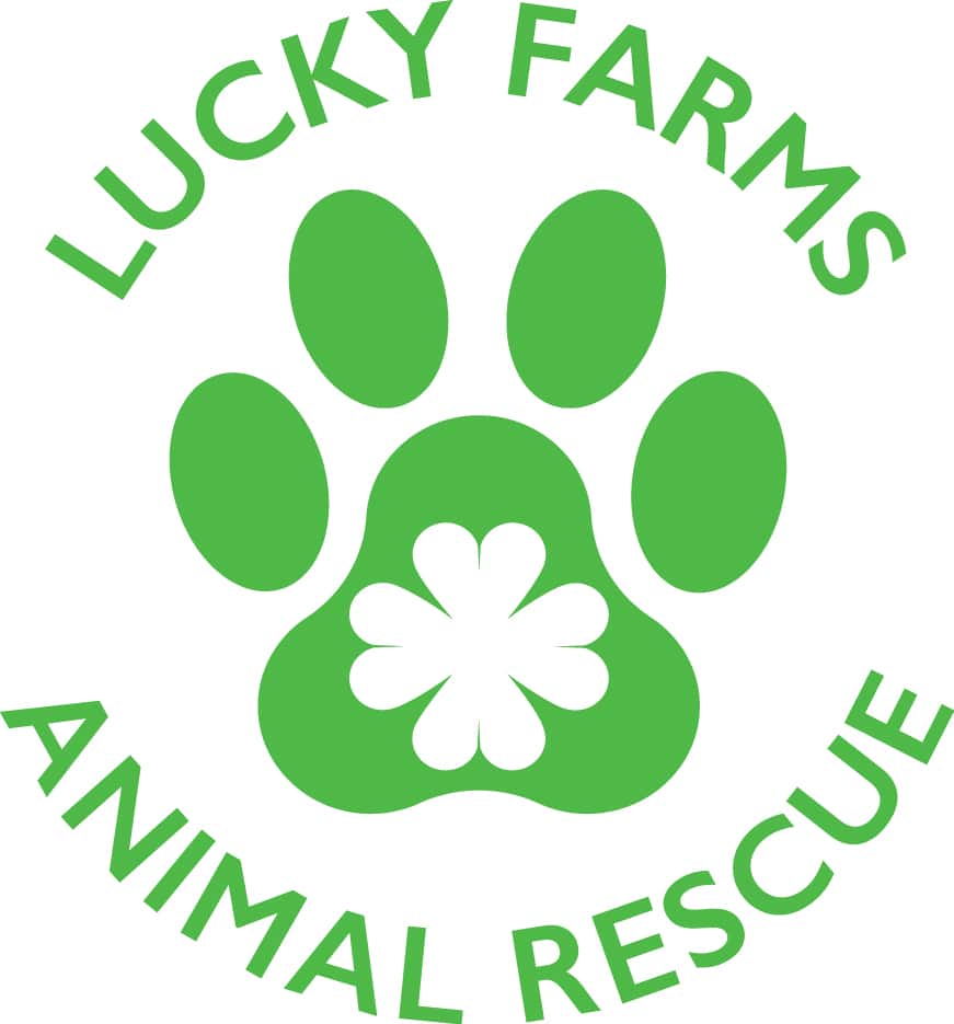 Lucky Farms Animal Rescue - Great Dane - Breeder & Rescue Certification