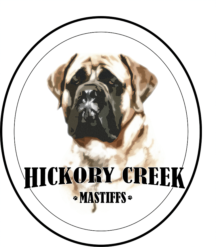Hickory Creek Mastiffs