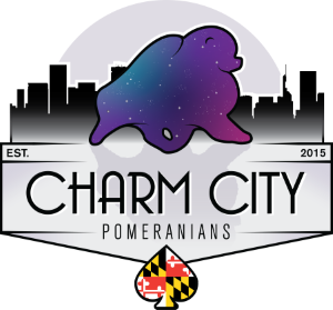 Charm City Poms